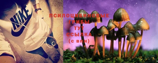 спиды Гусь-Хрустальный