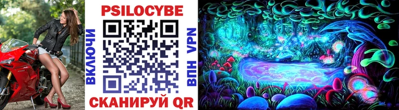 Купить где  Шарыпово  Галлюциногенные грибы Magic Shrooms 